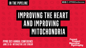 In the Pipeline: Improving the Heart and Mitochondria