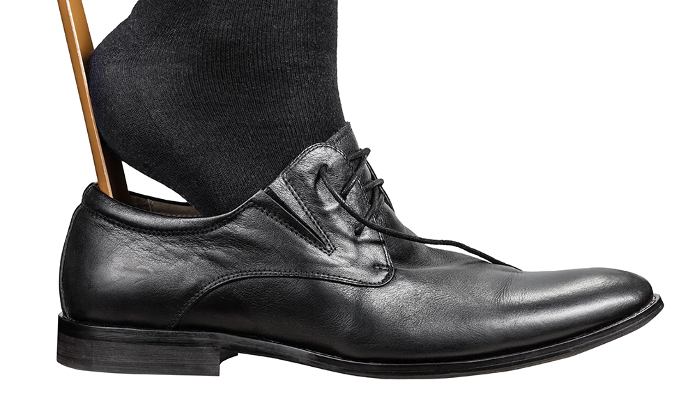 Shoehorn in hotsell